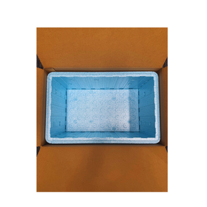 Insulated Cold Shipping Box with Foam Cooler ID: 17 ³⁄₁₆" x 10 ³⁄₁₆" x 8 ¼", Reusable, Recyclable, and Multi-Purpose, theBOXcold